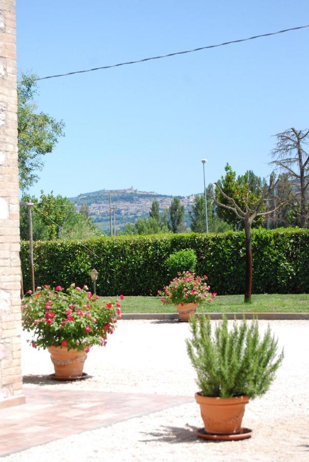 Agriturismo"Il Sagrato Di Assisi" Appartamenti,Camere Exterior foto